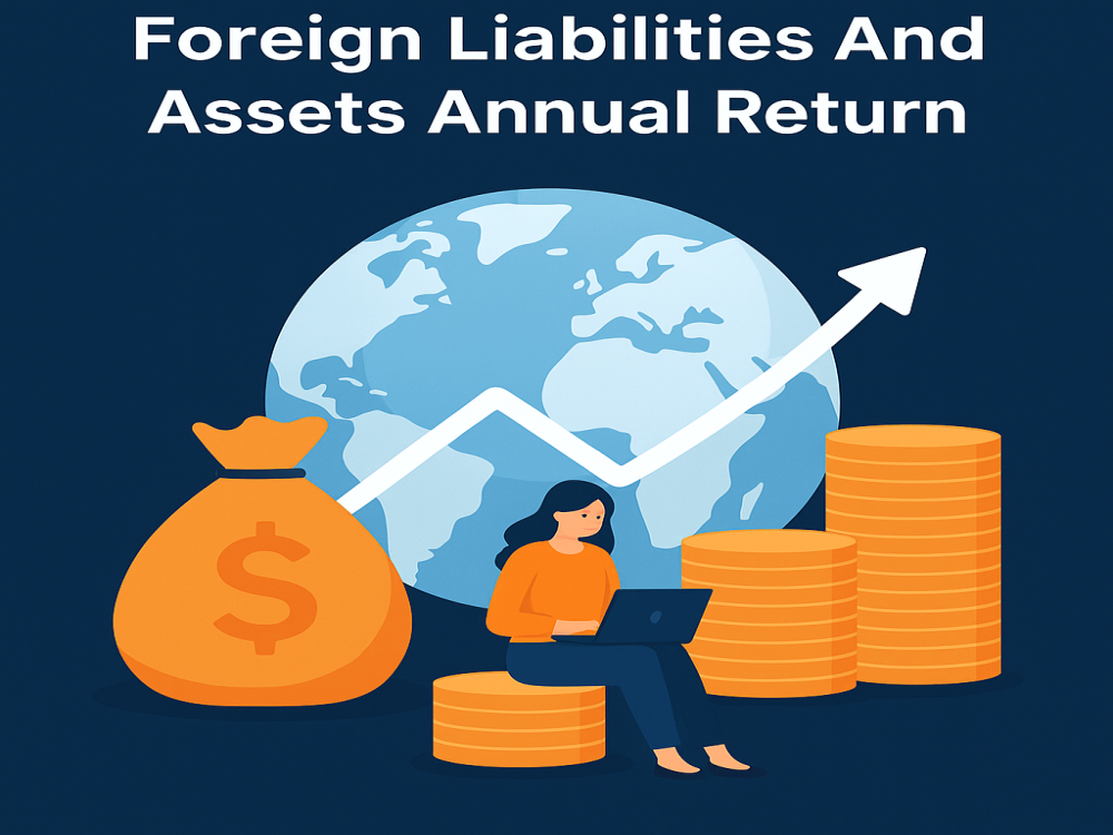 Foreign Liabilities And Assets Annual Return